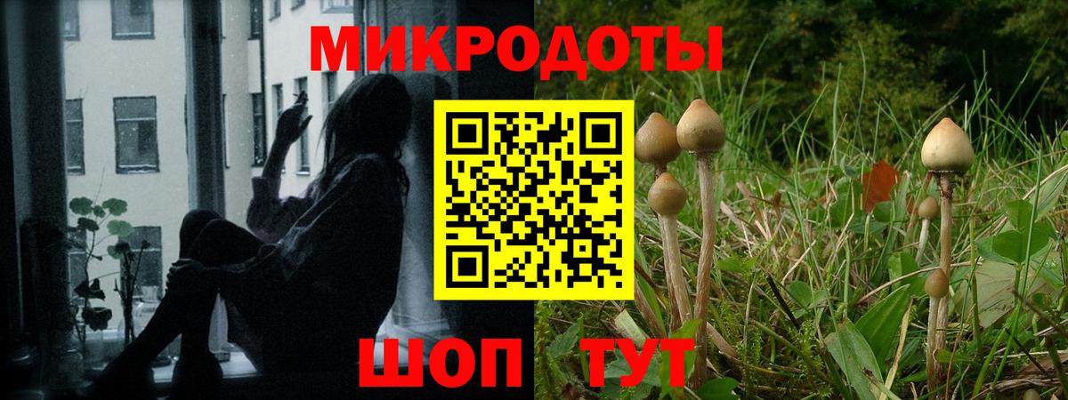 Елец  Псилоцибиновые грибы Psilocybine cubensis  Вход с VPN 