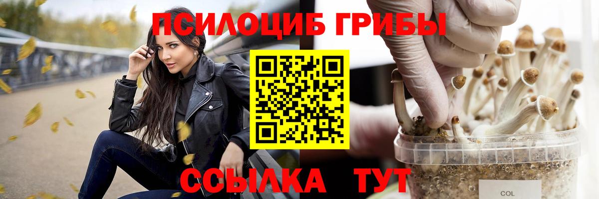Псилоцибиновые грибы MAGIC MUSHROOMS Елец
